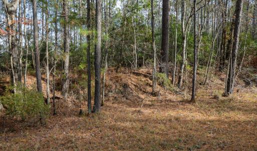 Photo #16 of SOLD property in Off Highway 211, Ash, NC 5.5 acres
