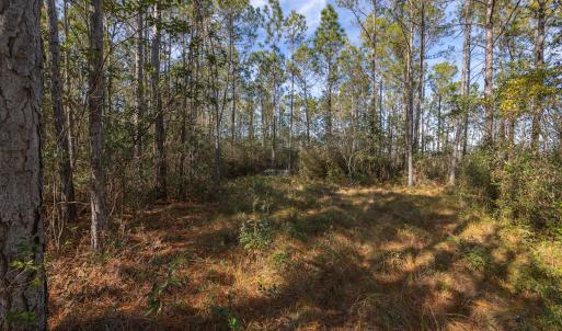 Photo #18 of SOLD property in Off Highway 211, Ash, NC 5.5 acres