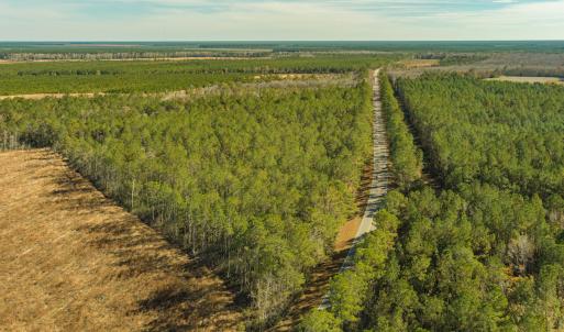 Photo #5 of SOLD property in Off Highway 211, Ash, NC 5.5 acres