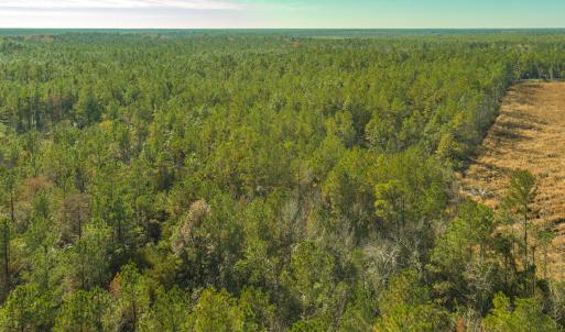Photo #7 of SOLD property in Off Highway 211, Ash, NC 5.5 acres