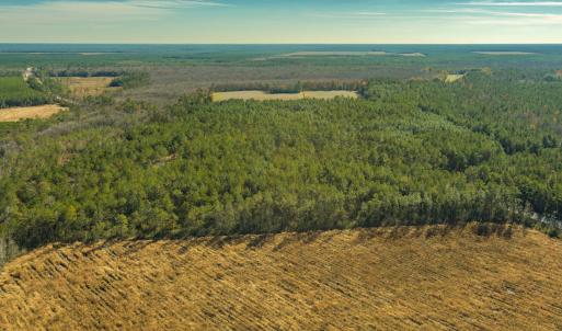 Photo #8 of SOLD property in Off Highway 211, Ash, NC 5.5 acres