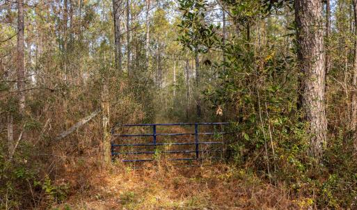 Photo #20 of SOLD property in Off Highway 211, Ash, NC 5.5 acres