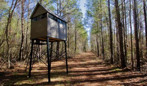 Photo #2 of SOLD property in Off Knobbs Creek Road, Elizabeth City, NC 611.0 acres