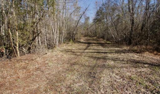 Photo #5 of SOLD property in Off Knobbs Creek Road, Elizabeth City, NC 611.0 acres