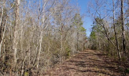 Photo #6 of SOLD property in Off Knobbs Creek Road, Elizabeth City, NC 611.0 acres