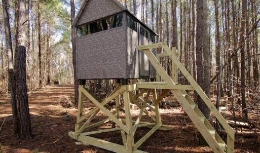 Photo #7 of SOLD property in Off Knobbs Creek Road, Elizabeth City, NC 611.0 acres