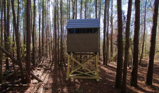 Photo #8 of SOLD property in Off Knobbs Creek Road, Elizabeth City, NC 611.0 acres