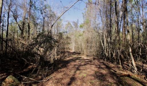 Photo #11 of SOLD property in Off Knobbs Creek Road, Elizabeth City, NC 611.0 acres