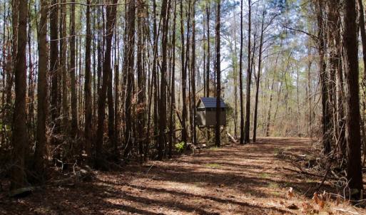 Photo #13 of SOLD property in Off Knobbs Creek Road, Elizabeth City, NC 611.0 acres
