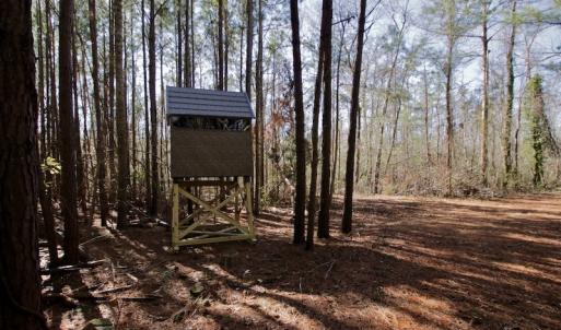 Photo #14 of SOLD property in Off Knobbs Creek Road, Elizabeth City, NC 611.0 acres