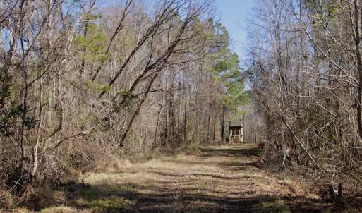 Photo #17 of SOLD property in Off Knobbs Creek Road, Elizabeth City, NC 611.0 acres