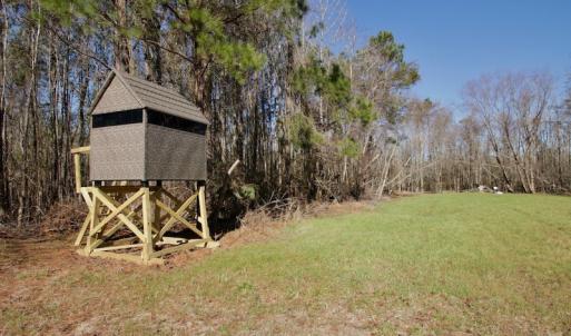 Photo #18 of SOLD property in Off Knobbs Creek Road, Elizabeth City, NC 611.0 acres