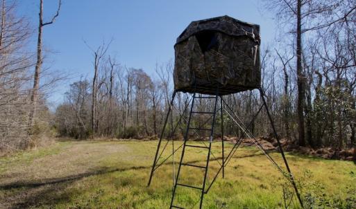 Photo #21 of SOLD property in Off Knobbs Creek Road, Elizabeth City, NC 611.0 acres