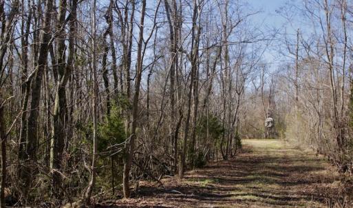 Photo #24 of SOLD property in Off Knobbs Creek Road, Elizabeth City, NC 611.0 acres