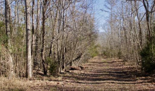 Photo #26 of SOLD property in Off Knobbs Creek Road, Elizabeth City, NC 611.0 acres