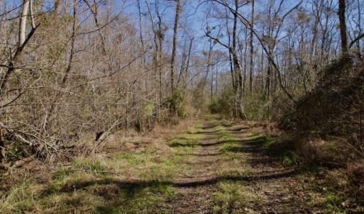 Photo #27 of SOLD property in Off Knobbs Creek Road, Elizabeth City, NC 611.0 acres
