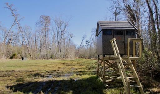Photo #28 of SOLD property in Off Knobbs Creek Road, Elizabeth City, NC 611.0 acres