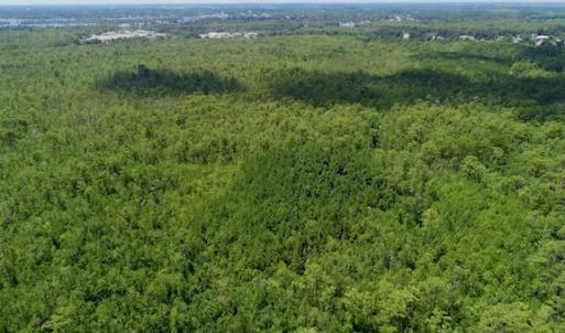 Photo #30 of SOLD property in Off Knobbs Creek Road, Elizabeth City, NC 611.0 acres