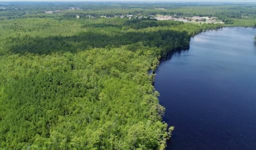 Photo #31 of SOLD property in Off Knobbs Creek Road, Elizabeth City, NC 611.0 acres