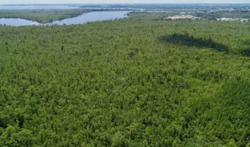 Photo #32 of SOLD property in Off Knobbs Creek Road, Elizabeth City, NC 611.0 acres