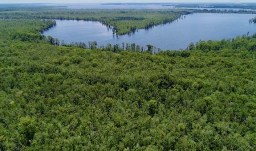 Photo #33 of SOLD property in Off Knobbs Creek Road, Elizabeth City, NC 611.0 acres