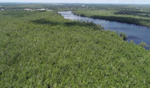 Photo #34 of SOLD property in Off Knobbs Creek Road, Elizabeth City, NC 611.0 acres