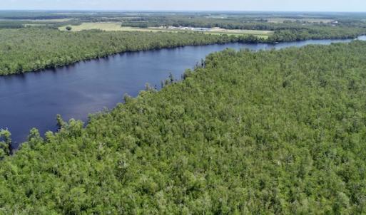 Photo #35 of SOLD property in Off Knobbs Creek Road, Elizabeth City, NC 611.0 acres
