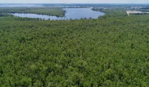 Photo #36 of SOLD property in Off Knobbs Creek Road, Elizabeth City, NC 611.0 acres