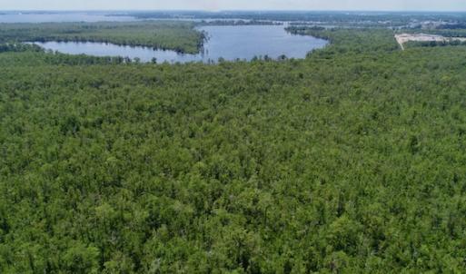 Photo #36 of SOLD property in Off Knobbs Creek Road, Elizabeth City, NC 611.0 acres