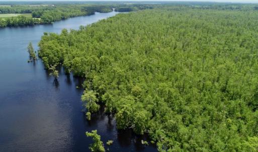 Photo #37 of SOLD property in Off Knobbs Creek Road, Elizabeth City, NC 611.0 acres