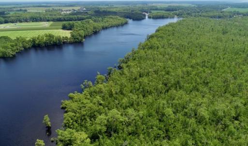Photo #38 of SOLD property in Off Knobbs Creek Road, Elizabeth City, NC 611.0 acres