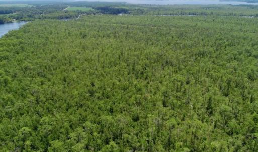 Photo #39 of SOLD property in Off Knobbs Creek Road, Elizabeth City, NC 611.0 acres