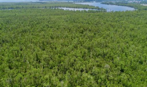 Photo #40 of SOLD property in Off Knobbs Creek Road, Elizabeth City, NC 611.0 acres