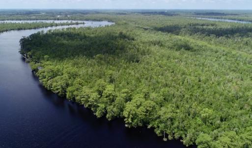 Photo #41 of SOLD property in Off Knobbs Creek Road, Elizabeth City, NC 611.0 acres