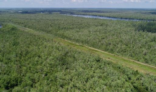 Photo #43 of SOLD property in Off Knobbs Creek Road, Elizabeth City, NC 611.0 acres