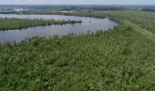 Photo #44 of SOLD property in Off Knobbs Creek Road, Elizabeth City, NC 611.0 acres