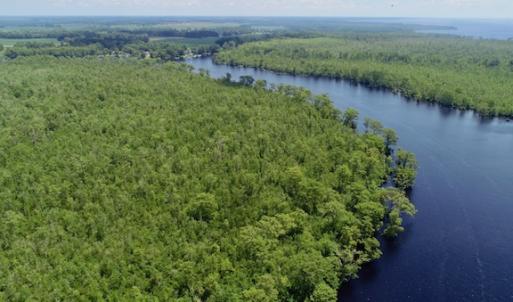 Photo #47 of SOLD property in Off Knobbs Creek Road, Elizabeth City, NC 611.0 acres