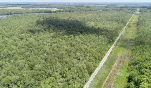 Photo #49 of SOLD property in Off Knobbs Creek Road, Elizabeth City, NC 611.0 acres