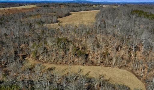 Photo #13 of SOLD property in Off Colonial Turnpike, Rocky Mount, VA 96.1 acres