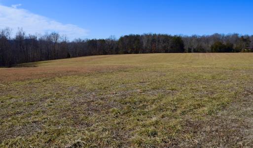 Photo #19 of SOLD property in Off Colonial Turnpike, Rocky Mount, VA 96.1 acres