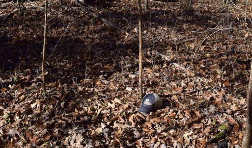 Photo #30 of SOLD property in Off Colonial Turnpike, Rocky Mount, VA 96.1 acres