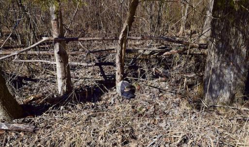 Photo #38 of SOLD property in Off Colonial Turnpike, Rocky Mount, VA 96.1 acres