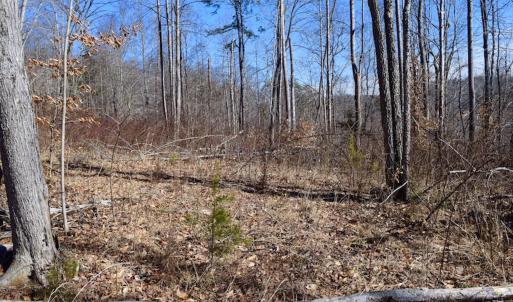 Photo #40 of SOLD property in Off Colonial Turnpike, Rocky Mount, VA 96.1 acres