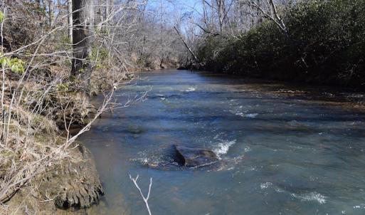 Photo #43 of SOLD property in Off Colonial Turnpike, Rocky Mount, VA 96.1 acres