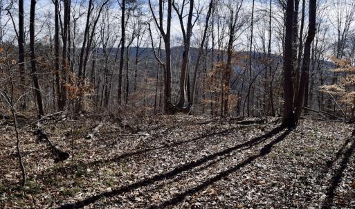 Photo #46 of SOLD property in Off Colonial Turnpike, Rocky Mount, VA 96.1 acres