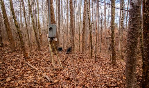 Photo #9 of SOLD property in Off Mount Harmony Church Road, Timberlake, NC 4.8 acres