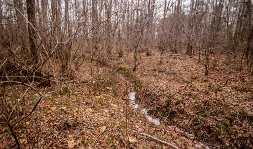 Photo #10 of SOLD property in Off Mount Harmony Church Road, Timberlake, NC 4.8 acres