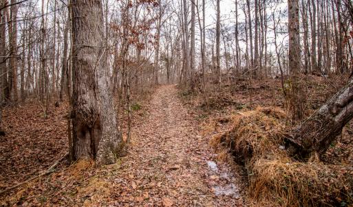 Photo #11 of SOLD property in Off Mount Harmony Church Road, Timberlake, NC 4.8 acres