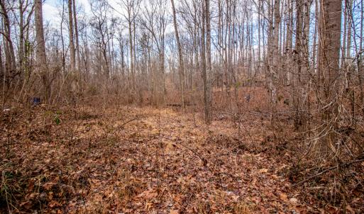 Photo #14 of SOLD property in Off Mount Harmony Church Road, Timberlake, NC 4.8 acres