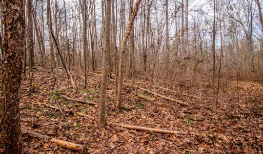Photo #4 of SOLD property in Off Mount Harmony Church Road, Timberlake, NC 4.8 acres